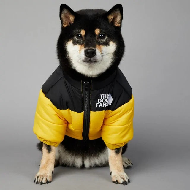 Schöne The Dog Face Winterjacke